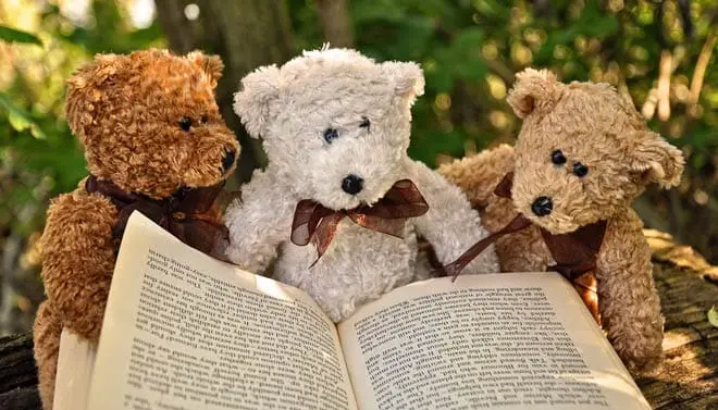 Teddy Bears' Picnic Activity Ideas - Tea Time Monkeys