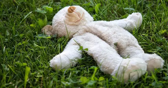 Teddy Bears' Picnic Activity Ideas - Tea Time Monkeys