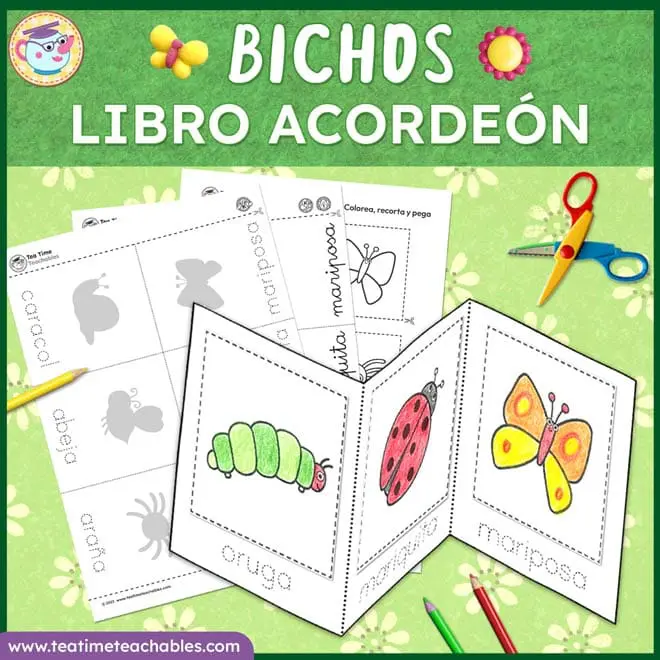 Insectos y Bichos Mini Libro