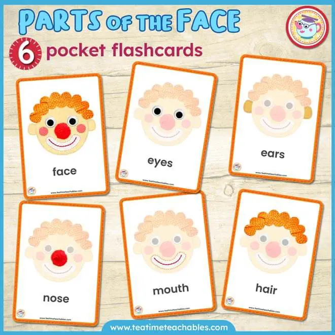 PARTS OF THE FACE Picture-Word Flashcards