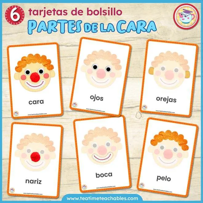 Tarjetas Didácticas – PARTES DE LA CARA