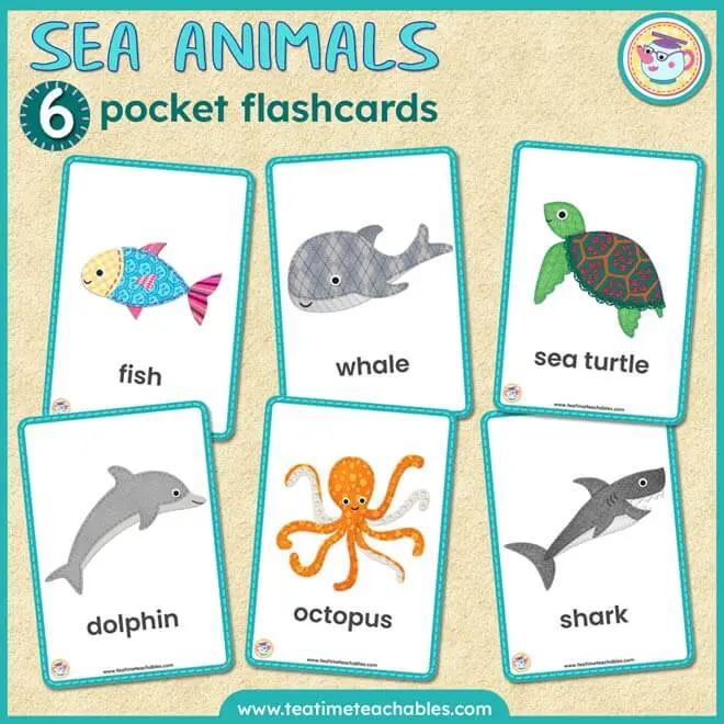 Sea Animals Flashcards