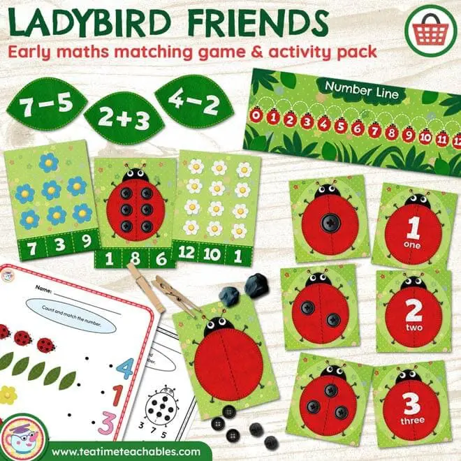 LADYBIRD FRIENDS! Early maths matching games & activities pack